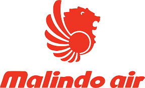Melando airlines logo